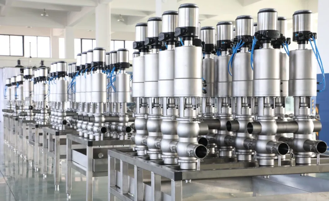 Donjoy dubbele stoel Mixproof Valves Manifold voor de verwerking van voedingsmiddelen en dranken 6